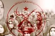 جعبه سیاه منافقین به تهران رسید! 