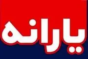 یارانه‌ جدید در راه است!/ نحوه پرداخت به این شکل خواهد بود+جزییات