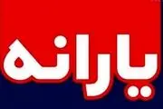 یارانه‌ جدید در راه است!/ نحوه پرداخت به این شکل خواهد بود+جزییات
