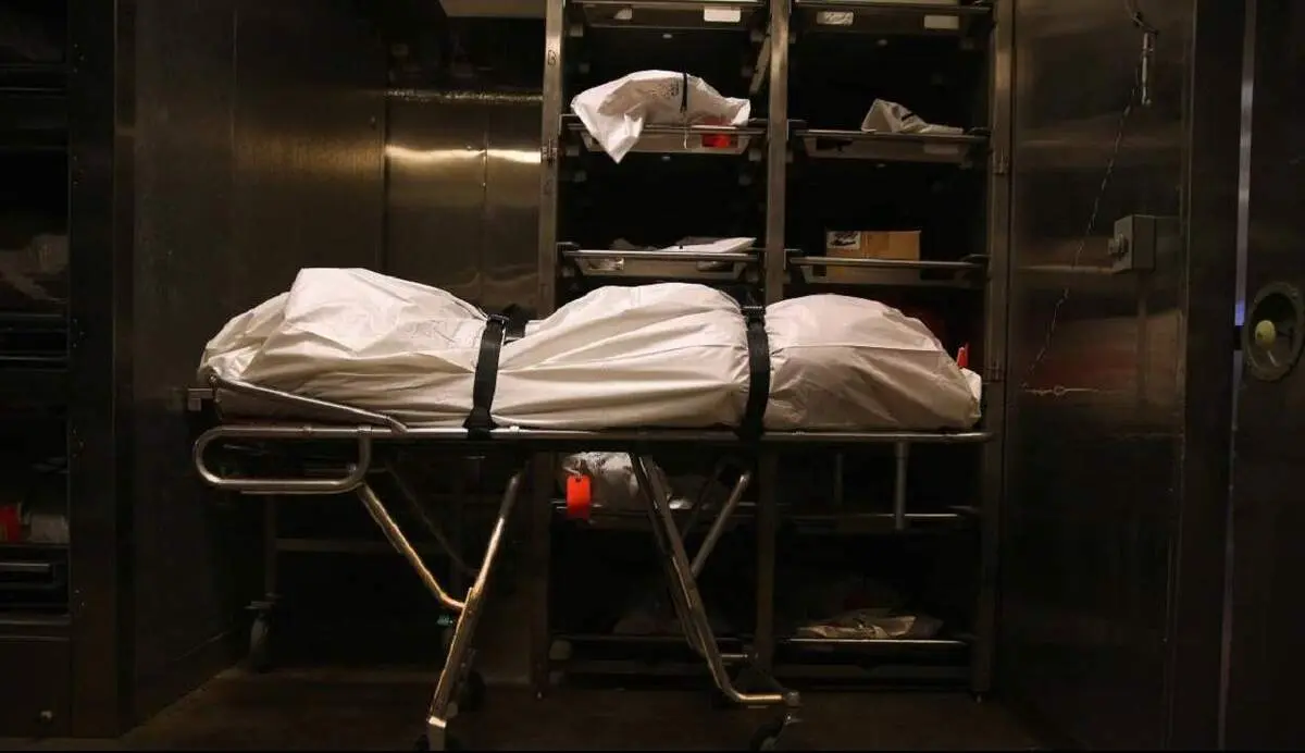 لحظه به لحظه اتفاقی که بعد از مرگ برای بدن رخ می‌دهد