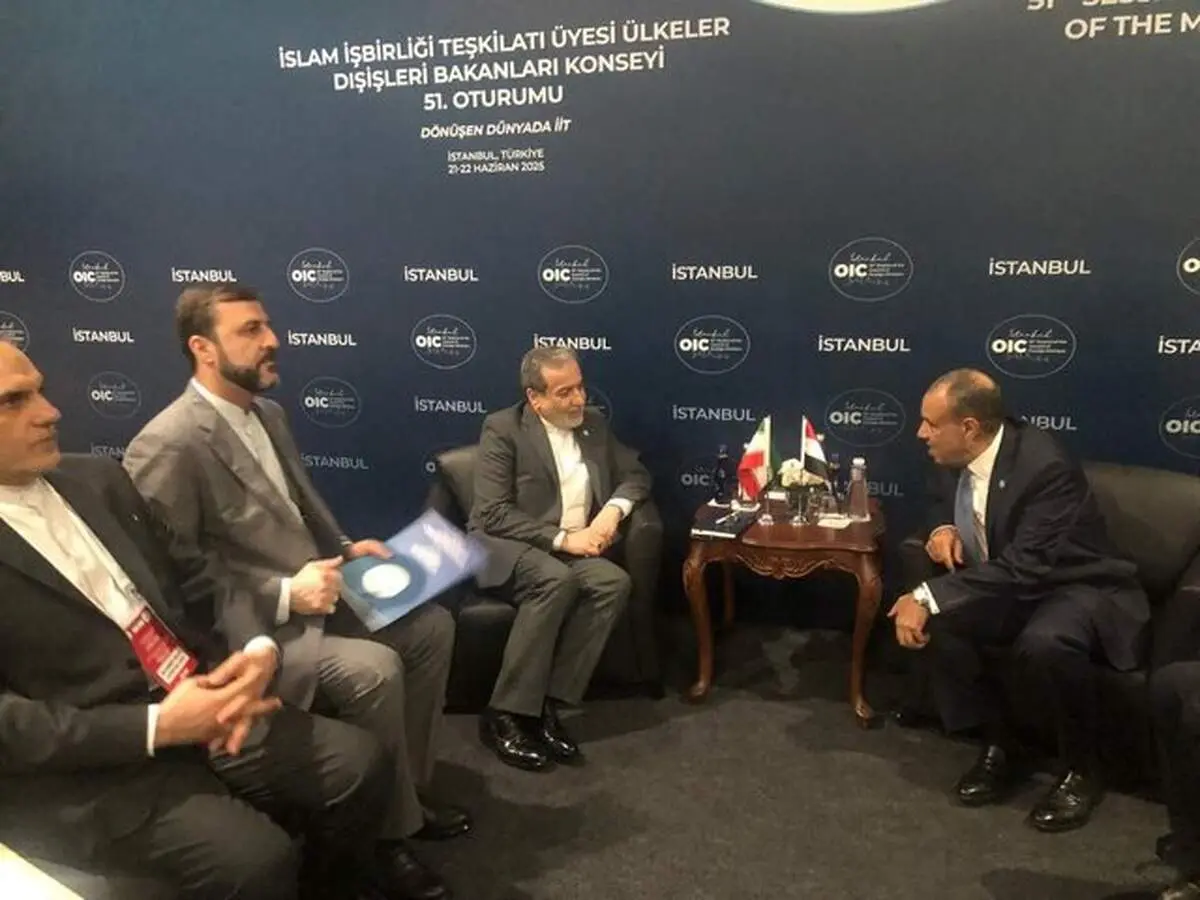 تمجید عراقچی از نقش سازنده مصر در محکومیت جمعی جنایات رژیم صهیونیستی 
