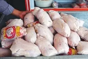 عرضه مرغ و شکر دولتی در این استانها