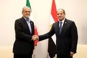 روایت رییس دفتر حافظ منافع ایران در قاهره از سفر پزشکیان به مصر