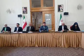غریب‌آبادی: باید با مشارکت فعال در مجامع بین‌المللی از منافع ایران دفاع کنیم