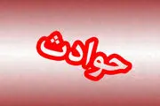 کلیپ حمله سگ گرانقیمت به زن رهگذر و سگش چه بود؟/ پوست کله زن بیچاره غلفتی کنه شد