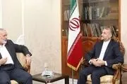 اسماعیل هنیه وارد تهران شد