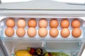 آیا واقعا گذاشتن تخم مرغ‌ها داخل درِ یخچال کار درستی است؟