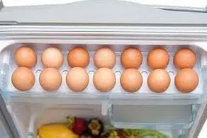 آیا واقعا گذاشتن تخم مرغ‌ها داخل درِ یخچال کار درستی است؟