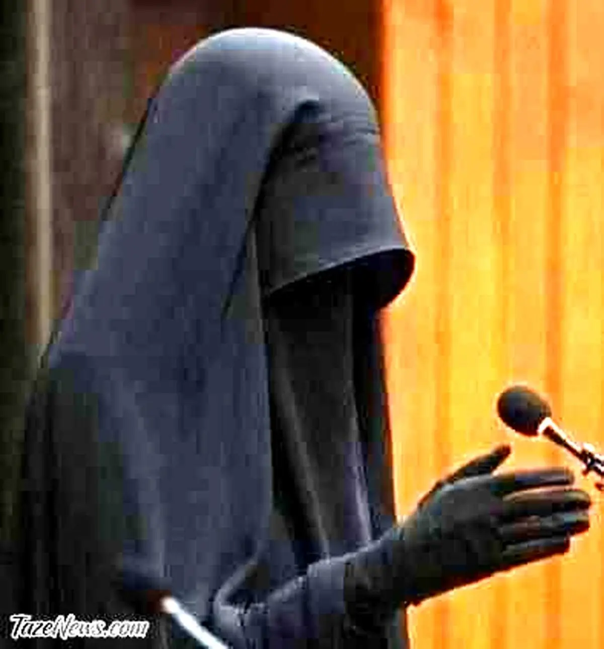 تذکر دادن در ورودی باغ ارم شیراز به زنان بی حجاب+فیلم