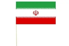 تردد خودروهای عجیب در تهران| اختلال در فرودگاه؟+فیلم 