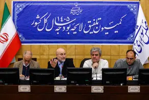 رئیس مجلس درباره لایحه بودجه در کمیسیون تلفیق چه گفت؟ 