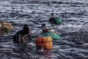 شغل بسیارعجیب زنان یک جزیره
