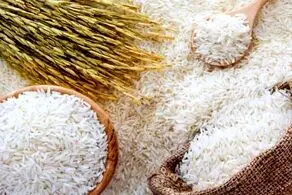 نرخ جدید برنج اعلام شد
