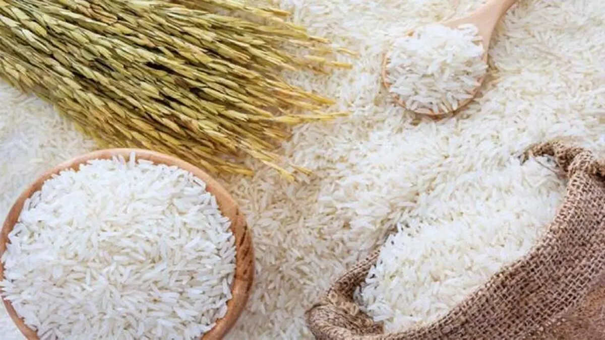 نرخ جدید برنج اعلام شد