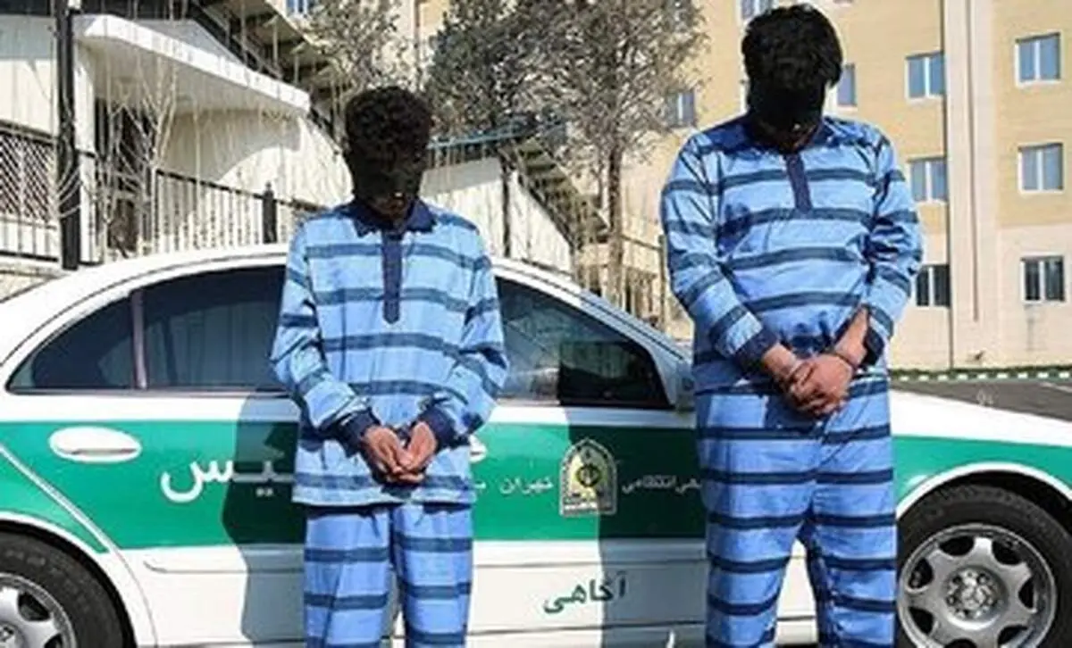 حکم عاملان سرقت  و قتل دانشجوی دانشگاه تهران تایید شد/ جزئیات تکمیلی