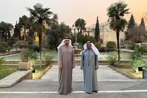 روایت قرقاش از دیدار با عراقچی در تهران 