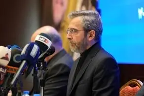 رایزنی علی باقری با وزیر خارجه مصر