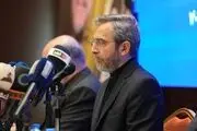 رایزنی علی باقری با وزیر خارجه مصر