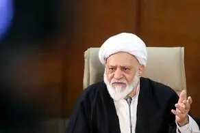 مصباحی مقدم: برنامه ۷ هزار صفحه‌ای را از آقای رئیسی خواستم ارائه نداد 