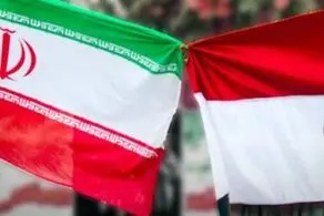 پرواز نمادین بین تهران و قاهره تکذیب شد 