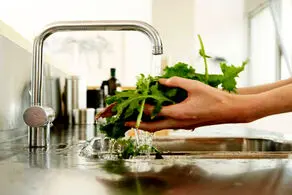اگر می خواهید بیمار نشوید سبزی را اینگونه را بشویید
