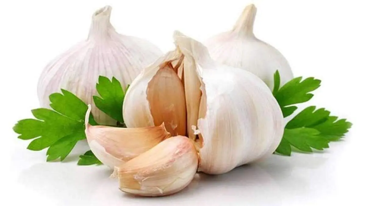 معجزه خوردن یک حبه سیر برای سلامت بدن

