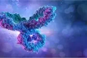 این دسته از افراد 6 برابر دیگران به نوع شدید کووید 19 مبتلا می شوند