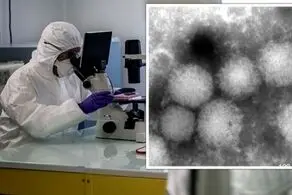 ظهور یک ویروسی جدید در ژاپن
