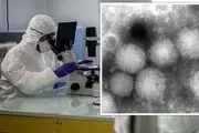 شناسایی یک ویروس ناشناخته جدید در ژاپن