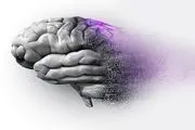 کشف روشی جدید برای متوقف‌کردن آلزایمر 