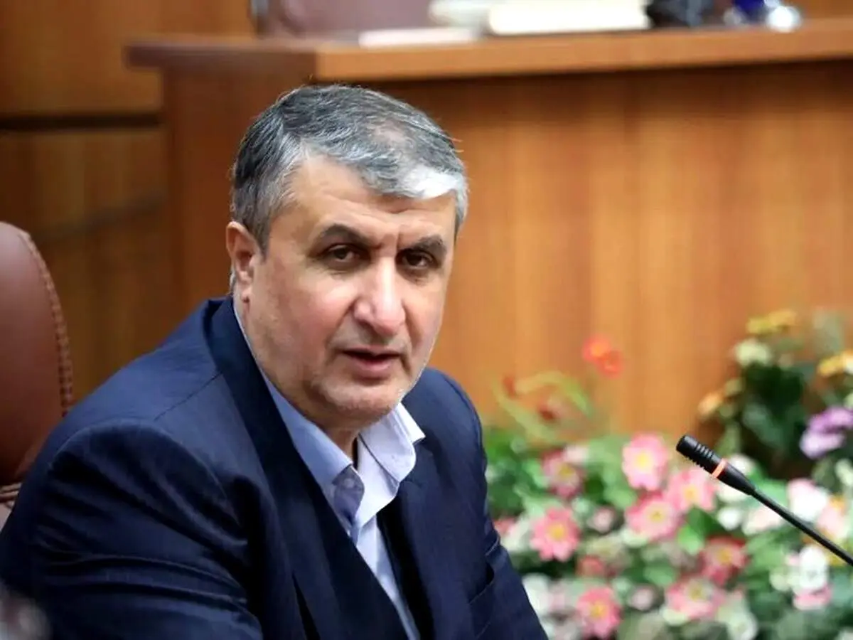 نامه اعتراضی رئیس سازمان انرژی اتمی به آژانس 