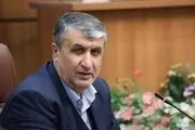 اسلامی: ممانعت از حضور من در نشست آژانس نتیجه شگفت‌آوری داشت