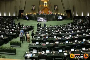 انتقاد شدید نماینده مجلس از توجیهات وزیر کشاورزی برای گران کردن آرد و قول یارانه