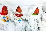 اولین نوزادان ۴ قلو در سال جدید بدنیا آمدند + عکس 