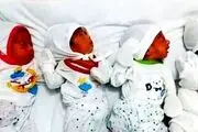 اولین نوزادان ۴ قلو در سال جدید بدنیا آمدند + عکس 