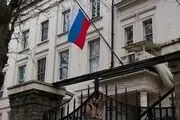 دیپلماسی فلفلی از سر گرفته شد/ ابراز رضایتمندی سفارت روسیه از فلفل های ایرانی
