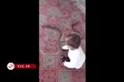 لحظه وحشتناک خفه کردن یک مار توسط کودک دو ساله + فیلم