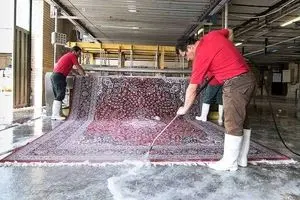 نرخ مصوب قالیشویی در پایتخت اعلام شد