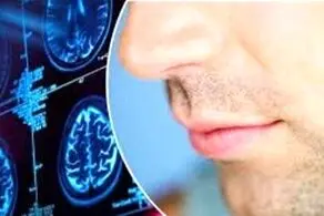 میوه ای برای بازگشت حس بویایی بعد کرونا