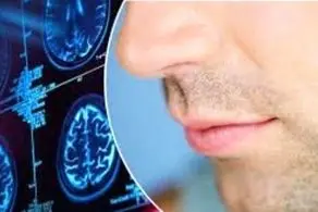 میوه ای برای بازگشت حس بویایی بعد کرونا