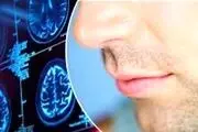 میوه ای برای بازگشت حس بویایی بعد کرونا