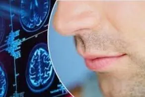 چرا کرونا بویایی را نابود می‌کند؟