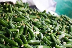 خیار کیلویی ۹۰ هزار تومان و کاهو ۵۰ هزار تومان شد!