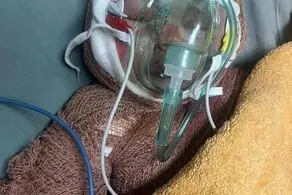 عکس جگر سوز از کوچک‌ترین شهید ایران