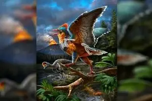 یافتن قدیمی‌ترین پرنده فسیل شده در چین