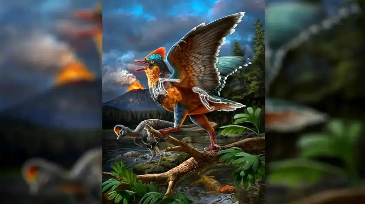 یافتن قدیمی‌ترین پرنده فسیل شده در چین