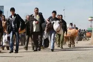 کاسبی جدید در ایران بعد از اخراج افغان‌ها