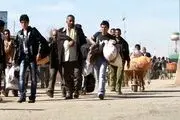 کاسبی جدید در ایران بعد از اخراج افغان‌ها