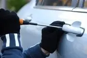 اقدام عجیب مالک یک خودرو برای جلوگیری از سرقت