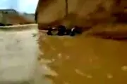 اقدام هولناک خبرنگار و همکارش وسط سیل+ عکس